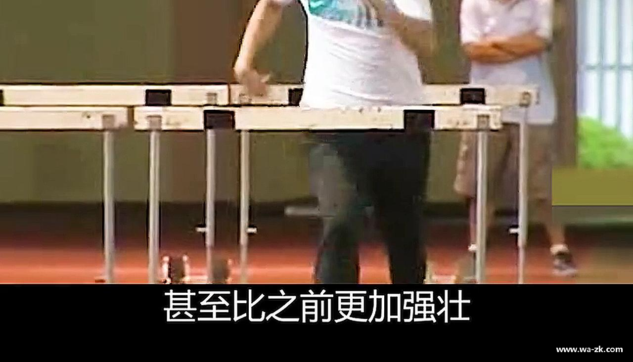 球速体育平台登录入口热血沸腾，荣耀终归！